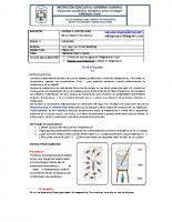FISICA G1 (TEMPERATURA Y CALOR)
